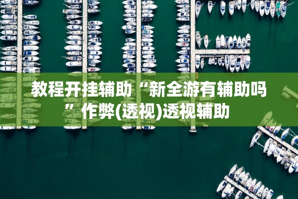 教程开挂辅助“新全游有辅助吗”作弊(透视)透视辅助 