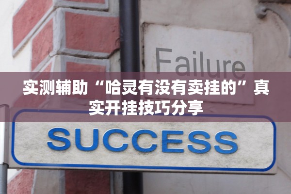 实测辅助“哈灵有没有卖挂的”真实开挂技巧分享