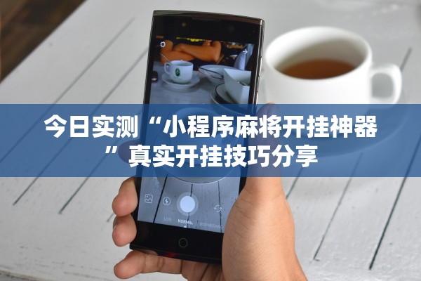 今日实测“小程序麻将开挂神器”真实开挂技巧分享