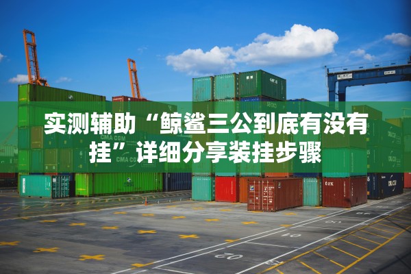 实测辅助“鲸鲨三公到底有没有挂”详细分享装挂步骤