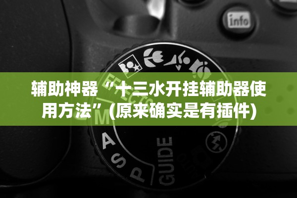 辅助神器“十三水开挂辅助器使用方法”(原来确实是有插件)