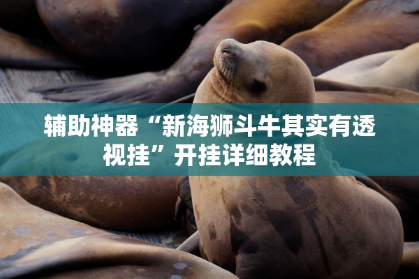 辅助神器“新海狮斗牛其实有透视挂”开挂详细教程