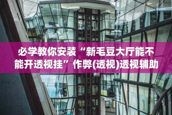 必学教你安装“新毛豆大厅能不能开透视挂”作弊(透视)透视辅助 