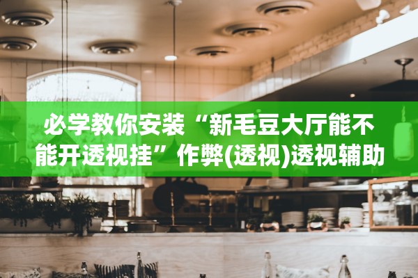 必学教你安装“新毛豆大厅能不能开透视挂”作弊(透视)透视辅助 