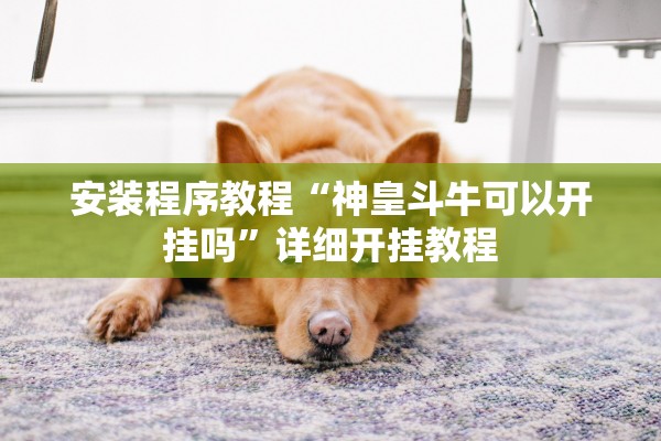 安装程序教程“神皇斗牛可以开挂吗”详细开挂教程