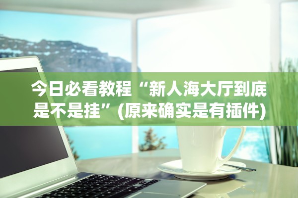 今日必看教程“新人海大厅到底是不是挂	”(原来确实是有插件)
