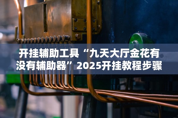 开挂辅助工具“九天大厅金花有没有辅助器”2025开挂教程步骤
