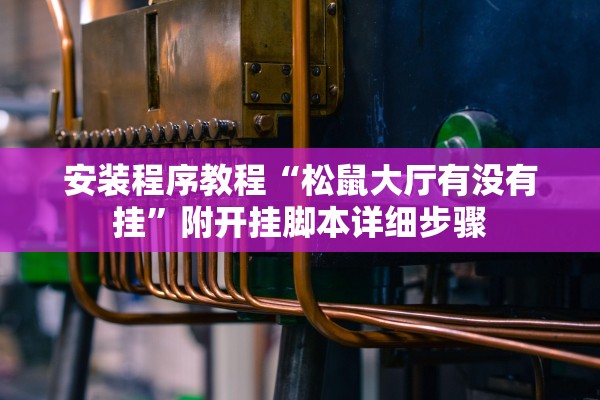 安装程序教程“松鼠大厅有没有挂	”附开挂脚本详细步骤