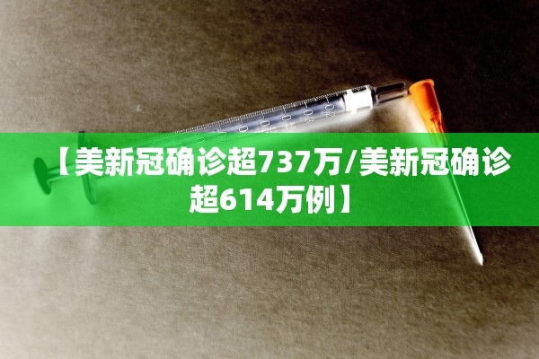 【美新冠确诊超737万/美新冠确诊超614万例】