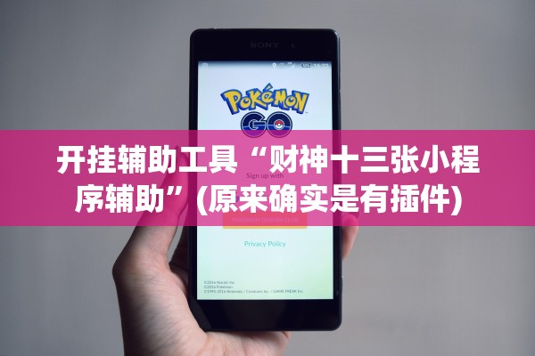 开挂辅助工具“财神十三张小程序辅助”(原来确实是有插件)