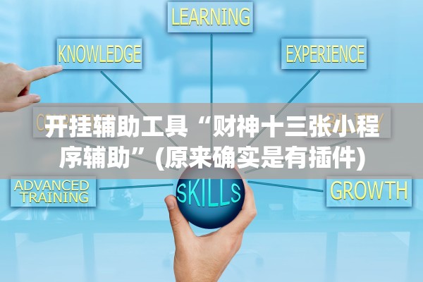 开挂辅助工具“财神十三张小程序辅助”(原来确实是有插件)