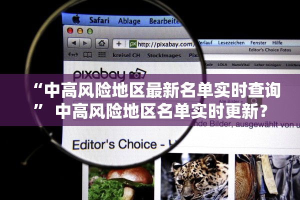 “中高风险地区最新名单实时查询	” 中高风险地区名单实时更新？