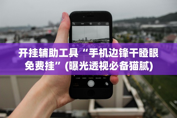 开挂辅助工具“手机边锋干瞪眼免费挂”(曝光透视必备猫腻)