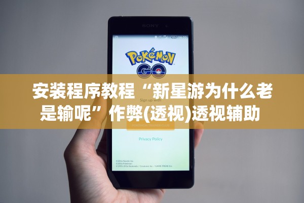 安装程序教程“新星游为什么老是输呢	”作弊(透视)透视辅助 