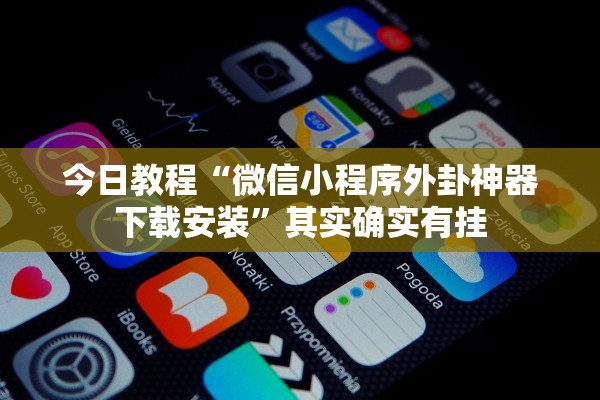 今日教程“微信小程序外卦神器下载安装	”其实确实有挂