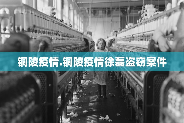 铜陵疫情.铜陵疫情徐磊盗窃案件