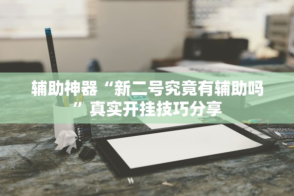 辅助神器“新二号究竟有辅助吗”真实开挂技巧分享