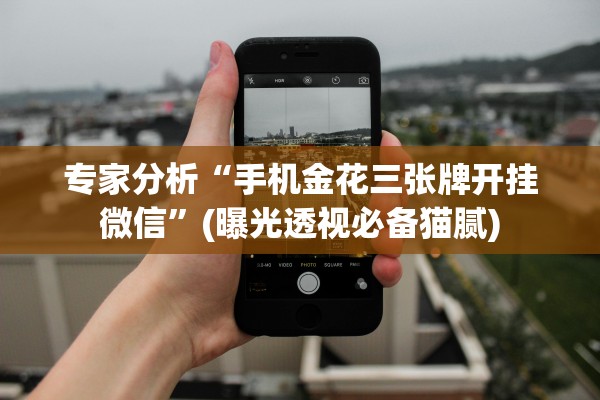 专家分析“手机金花三张牌开挂微信”(曝光透视必备猫腻)