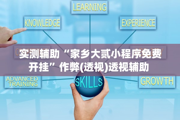 实测辅助“家乡大贰小程序免费开挂”作弊(透视)透视辅助 