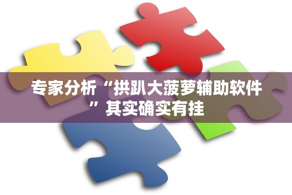 专家分析“拱趴大菠萝辅助软件	”其实确实有挂
