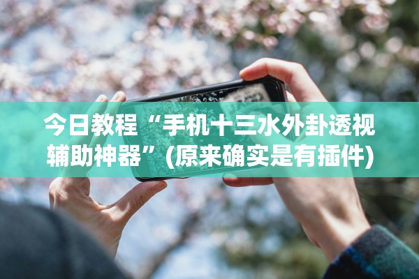 今日教程“手机十三水外卦透视辅助神器”(原来确实是有插件)