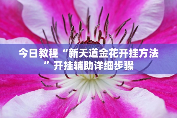 今日教程“新天道金花开挂方法	”开挂辅助详细步骤