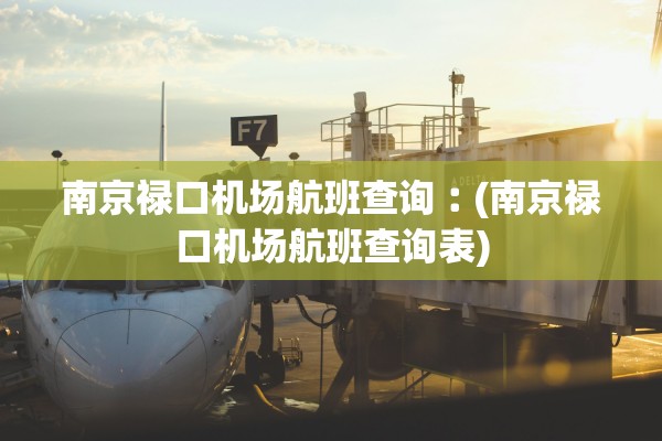 南京禄口机场航班查询︰(南京禄口机场航班查询表)