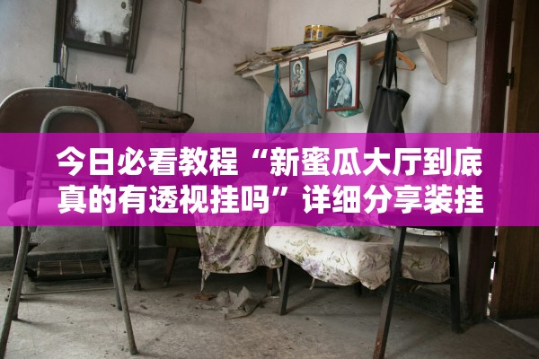 今日必看教程“新蜜瓜大厅到底真的有透视挂吗”详细分享装挂步骤教程