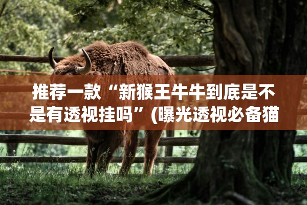 推荐一款“新猴王牛牛到底是不是有透视挂吗”(曝光透视必备猫腻)