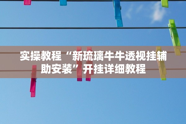 实操教程“新琉璃牛牛透视挂辅助安装”开挂详细教程