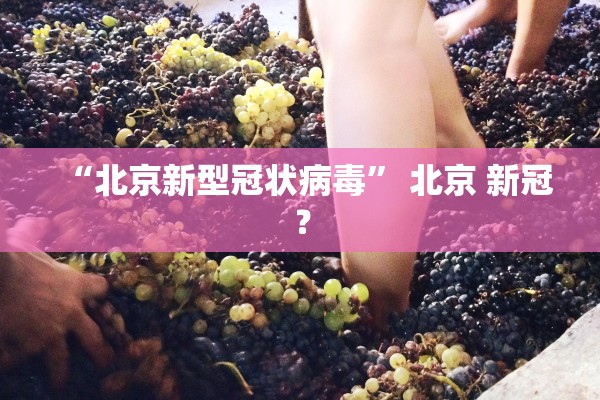 “北京新型冠状病毒	” 北京 新冠？