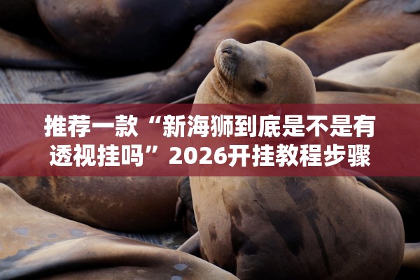 推荐一款“新海狮到底是不是有透视挂吗”2026开挂教程步骤
