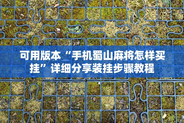 可用版本“手机蜀山麻将怎样买挂”详细分享装挂步骤教程