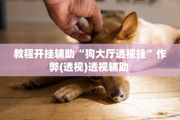 教程开挂辅助“狗大厅透视挂”作弊(透视)透视辅助 