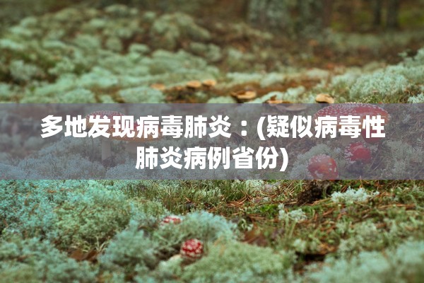 多地发现病毒肺炎︰(疑似病毒性肺炎病例省份)