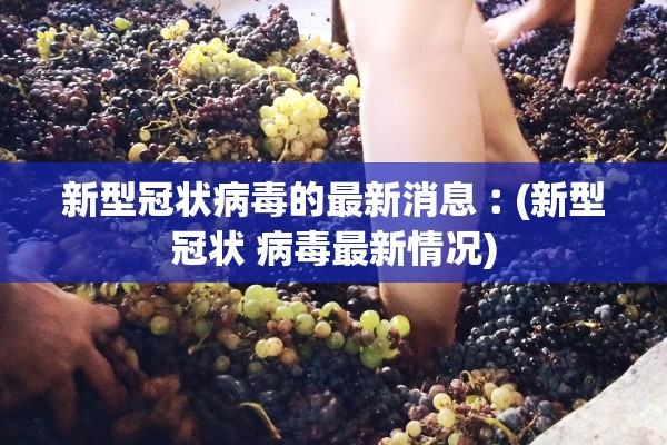 新型冠状病毒的最新消息︰(新型冠状 病毒最新情况)