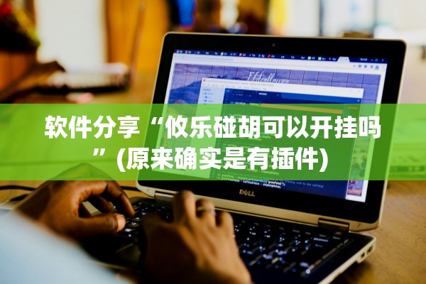 软件分享“攸乐碰胡可以开挂吗”(原来确实是有插件) 