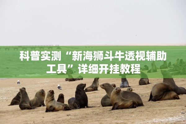 科普实测“新海狮斗牛透视辅助工具	”详细开挂教程