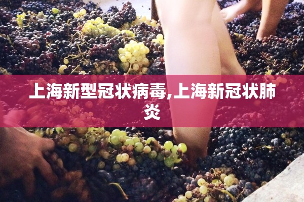 上海新型冠状病毒,上海新冠状肺炎