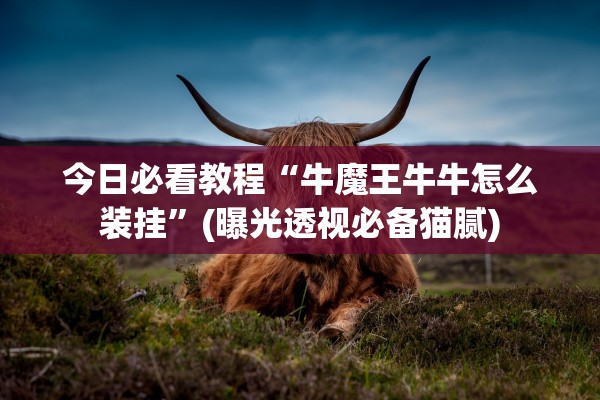 今日必看教程“牛魔王牛牛怎么装挂	”(曝光透视必备猫腻)