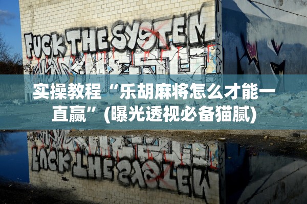 实操教程“乐胡麻将怎么才能一直赢”(曝光透视必备猫腻)