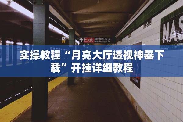 实操教程“月亮大厅透视神器下载”开挂详细教程