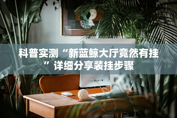 科普实测“新蓝鲸大厅竟然有挂”详细分享装挂步骤