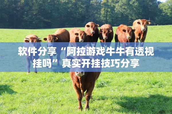 软件分享“阿拉游戏牛牛有透视挂吗	”真实开挂技巧分享
