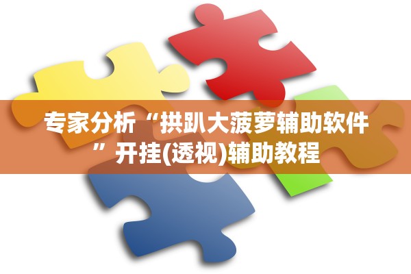 专家分析“拱趴大菠萝辅助软件”开挂(透视)辅助教程