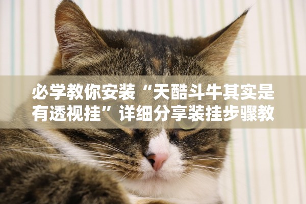 必学教你安装“天酷斗牛其实是有透视挂”详细分享装挂步骤教程