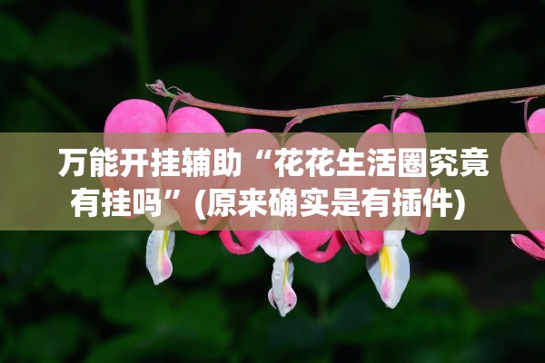 万能开挂辅助“花花生活圈究竟有挂吗	”(原来确实是有插件) 