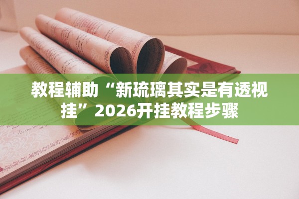 教程辅助“新琉璃其实是有透视挂”2026开挂教程步骤