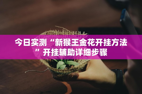 今日实测“新猴王金花开挂方法”开挂辅助详细步骤