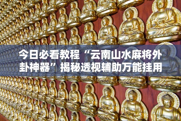 今日必看教程“云南山水麻将外卦神器	”揭秘透视辅助万能挂用法